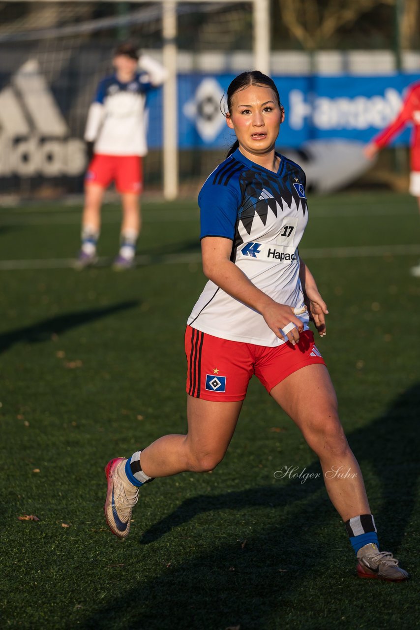 Bild 225 - wBJ Hamburger SV - Holstein Kiel : Ergebnis: 8:0